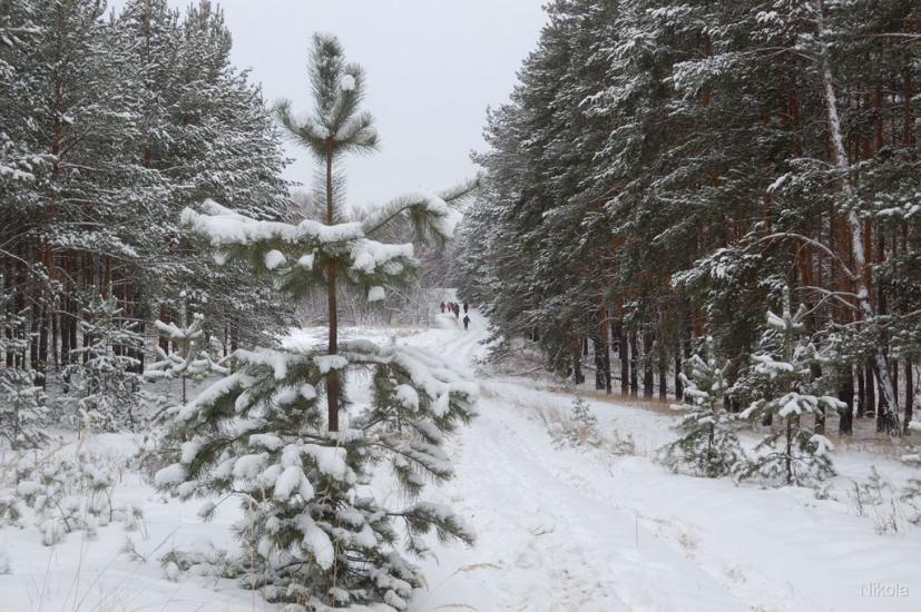 Борівське з panoramio.com - Борівське