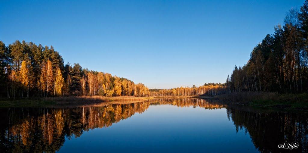 Нові Яриловичі з panoramio.com - Новые Ярыловичи