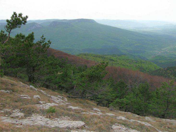 Відрадне з panoramio.com - Отрадное