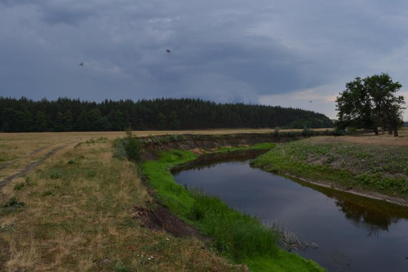 Пилівка з panoramio.com - Пылевка