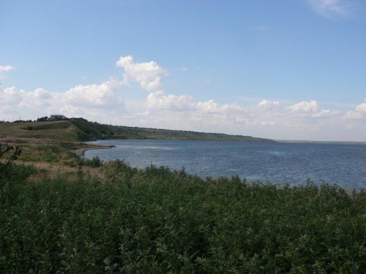 Пшонянове з panoramio.com - Пшонянове