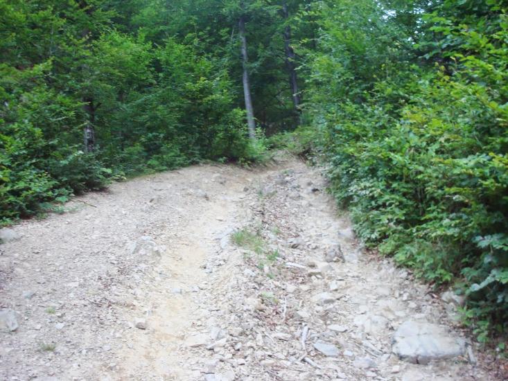 Красна з panoramio.com - Krasna
