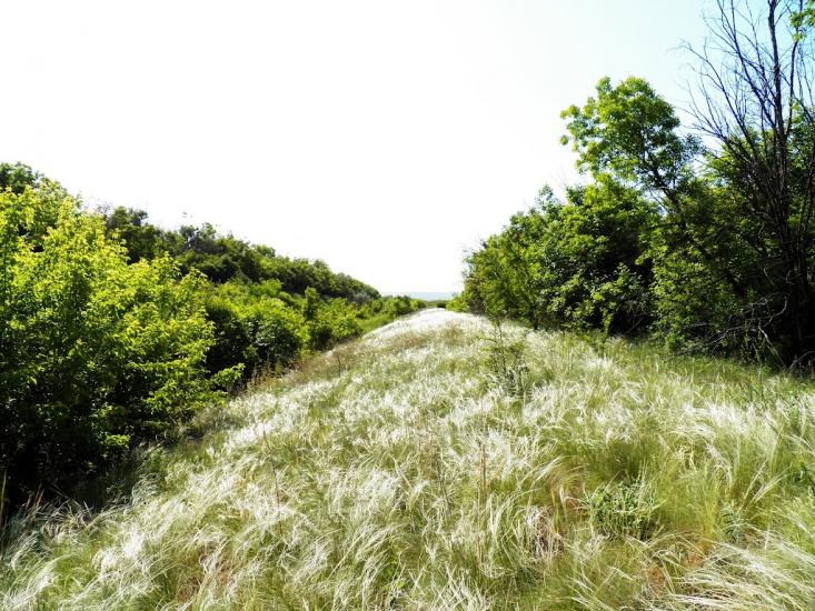 Збірне з panoramio.com - Сборное