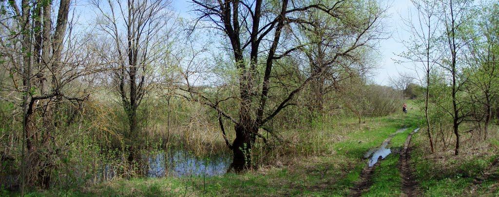 Райгородок з panoramio.com - Raygorodok