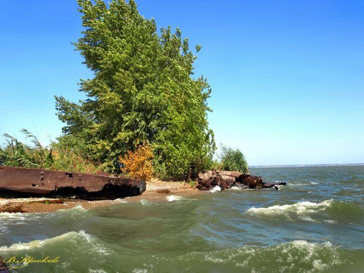 Шабо з panoramio.com - Шабо