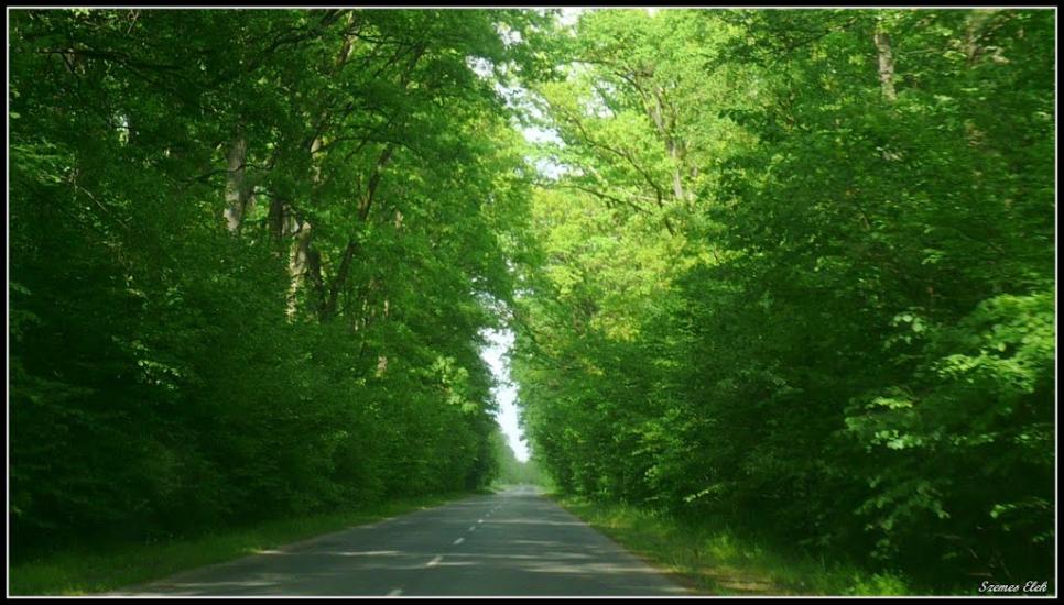 Бадалово з panoramio.com - Бадалово