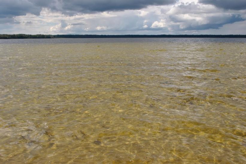 Рудка з panoramio.com - Рудка