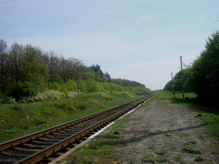 Шевченка з panoramio.com - Шевченко