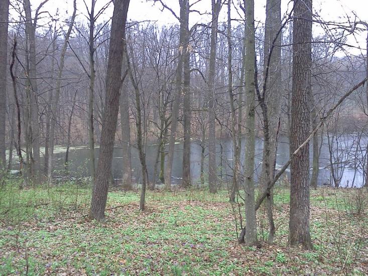 Богуслав з panoramio.com - Богуслав