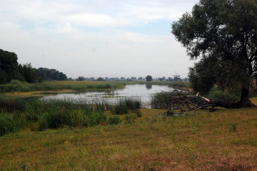 Борівське з panoramio.com - Борівське