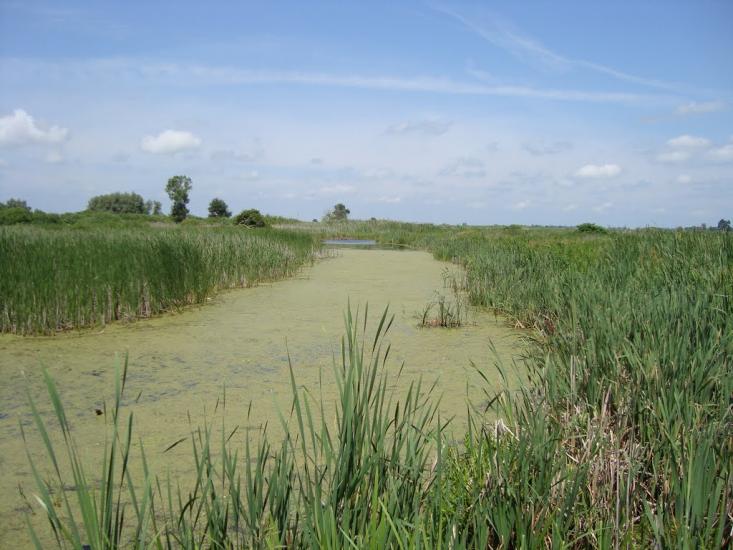 Русанів з panoramio.com - Русанов