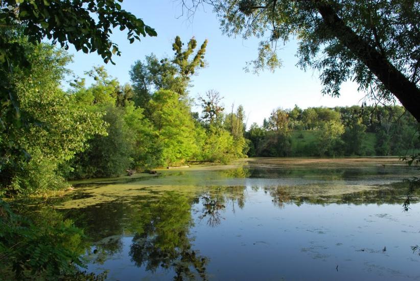 Сенча з panoramio.com - Сенча