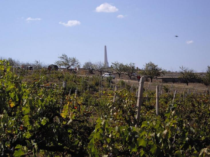 Віліне з panoramio.com - Віліне