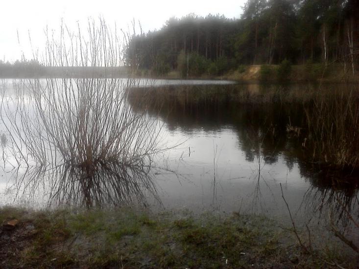 Халявин з panoramio.com - Халявин
