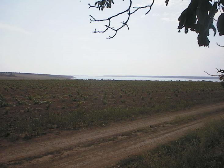Коблеве з panoramio.com - Коблево