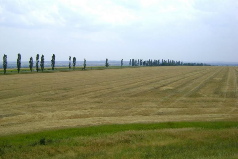 Новий Стародуб з panoramio.com - Новый Стародуб