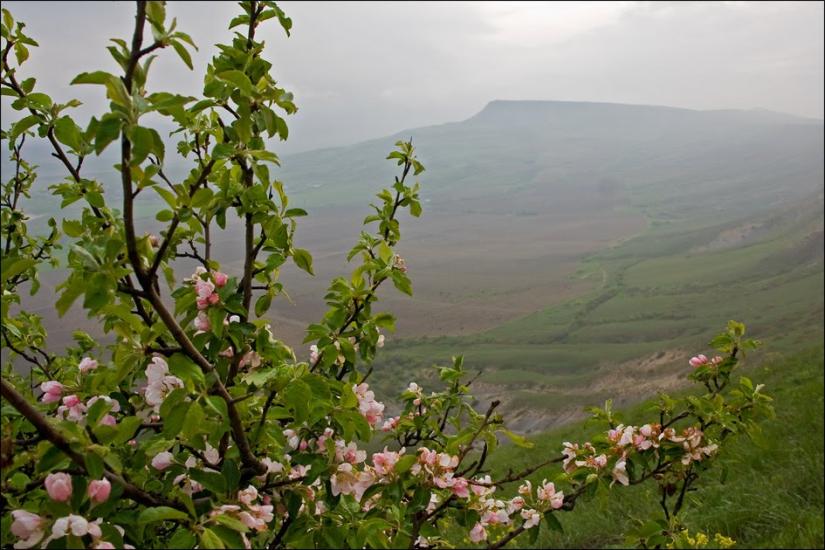 Відважне з panoramio.com - Відважне