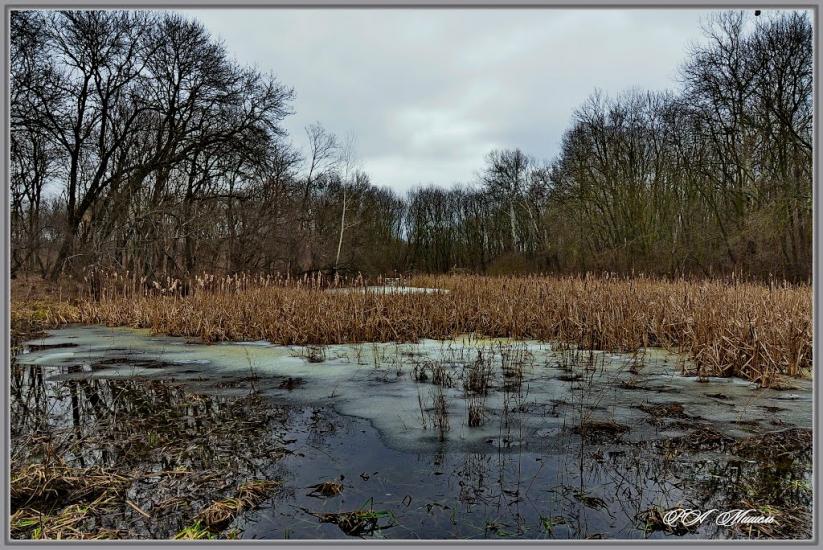 Привілля з panoramio.com - Приволье