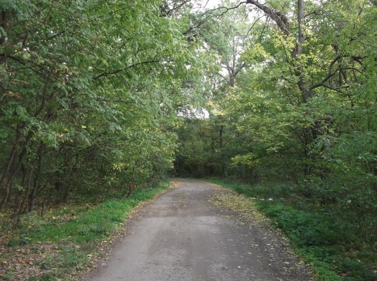 Орлівщина з panoramio.com - Орловщина