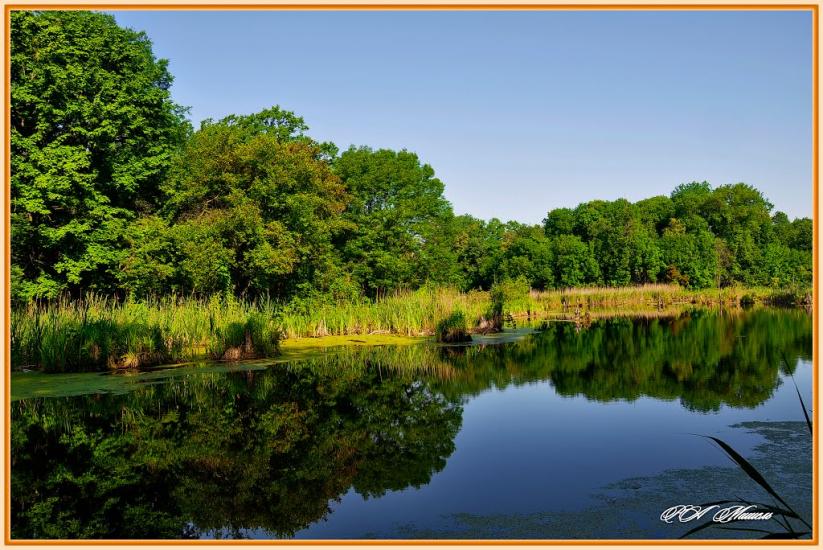 Дронівка з panoramio.com - Dronivka