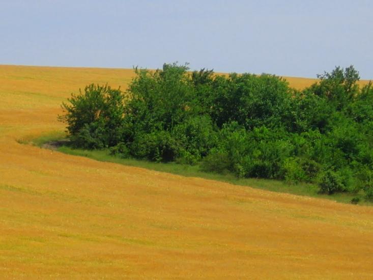 Новоолександрівка з panoramio.com - Новоолександрівка