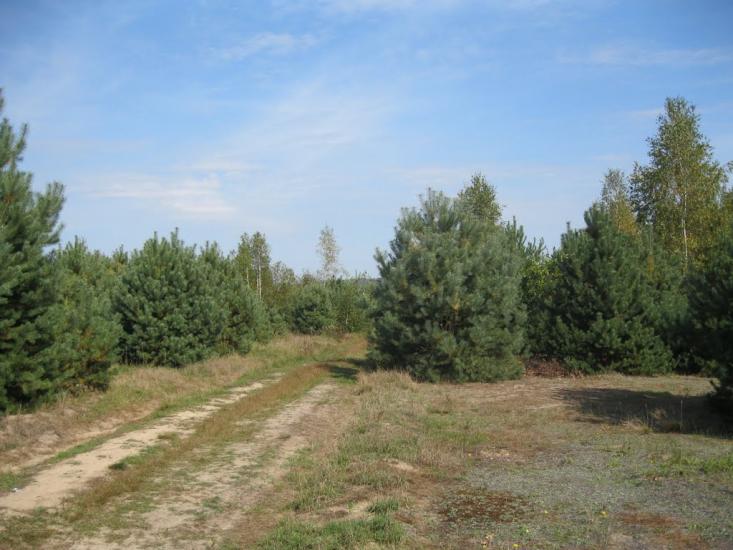 Рясне-Руське з panoramio.com - Рясное-Русское