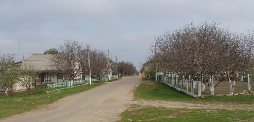 Новоукраїнка з panoramio.com - Новоукраинка