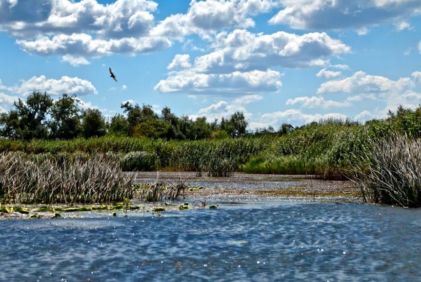 Гур'ївка з panoramio.com - Guryivka