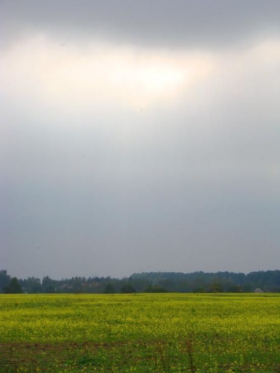 Рославичі з panoramio.com - Рославичі