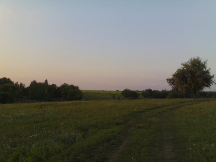 Сад з panoramio.com - Сад