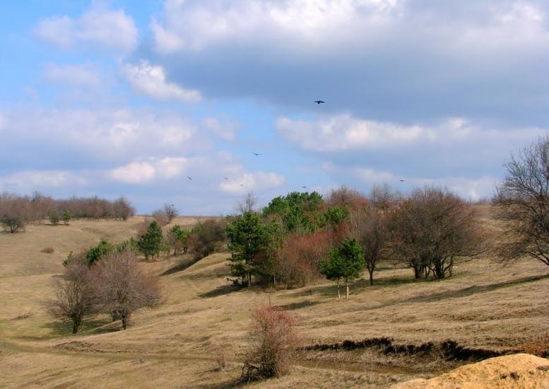Джулинка з panoramio.com - Джулинка
