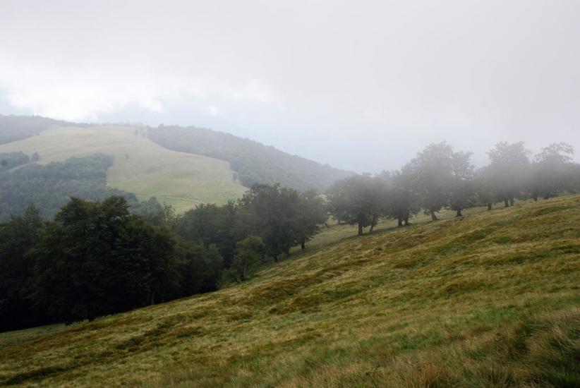 Усть-Чорна з panoramio.com - Усть-Чорна