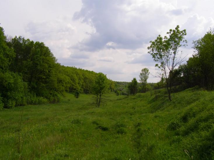 Пересічна з panoramio.com - Пересічна