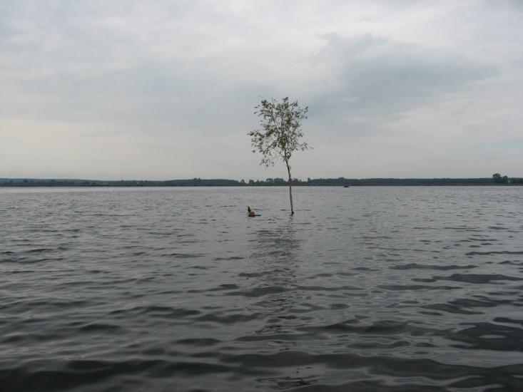 Боремель з panoramio.com - Боремель
