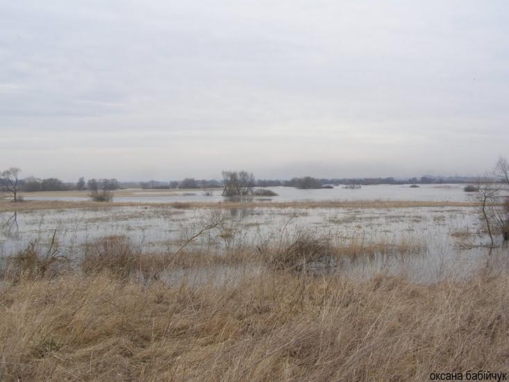 Литовеж з panoramio.com - Литовеж