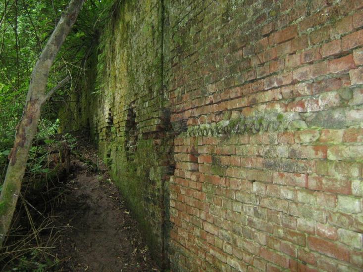 Поповичі з panoramio.com - Поповичі