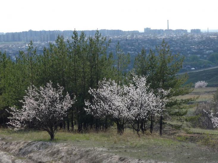 Біленьке з panoramio.com - Біленьке