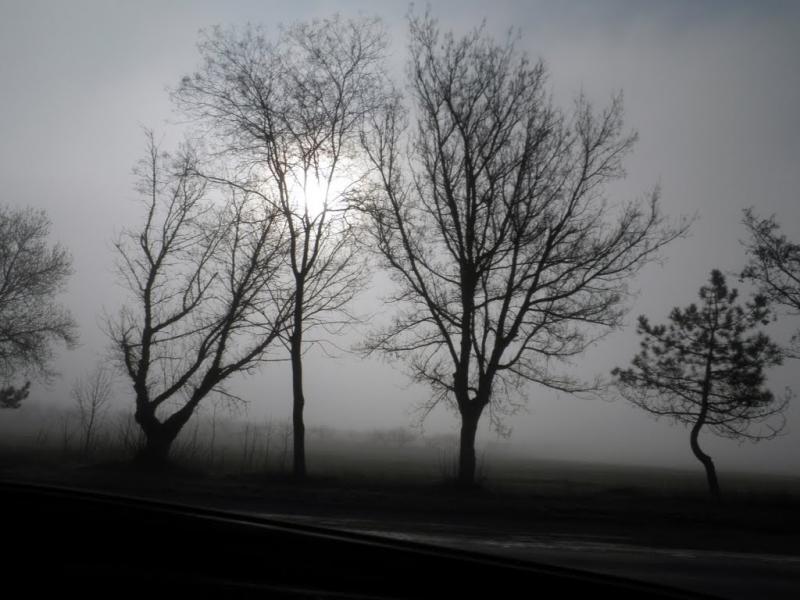Глибокий Яр з panoramio.com - Глибокий Яр