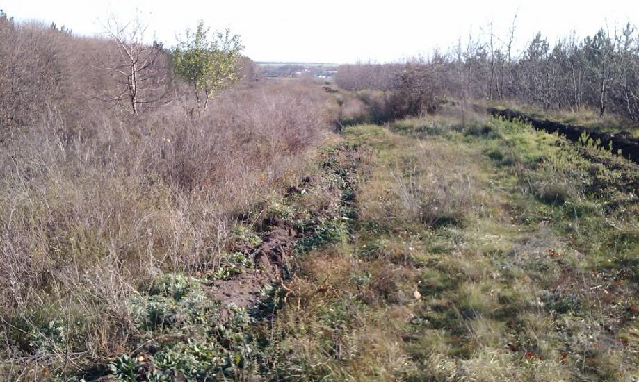 Кам'янка з panoramio.com - Камянка