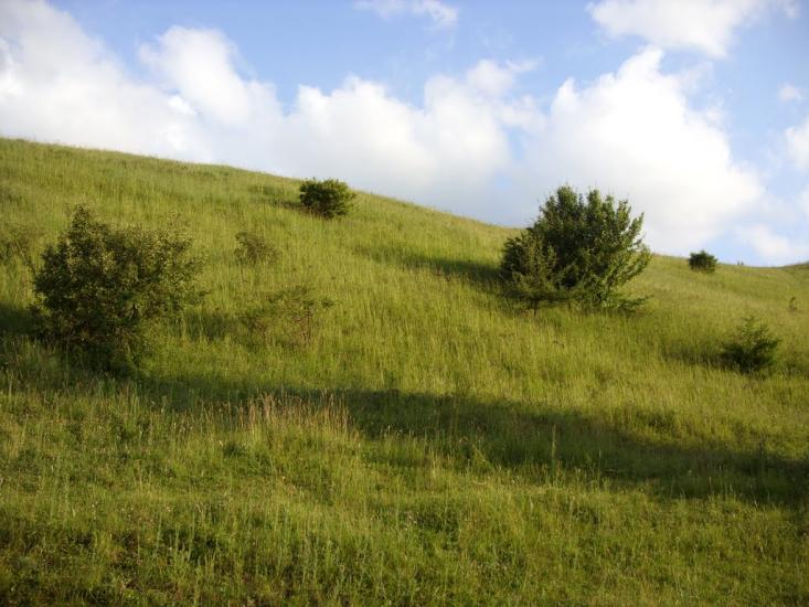Заможнє з panoramio.com - Заможнє