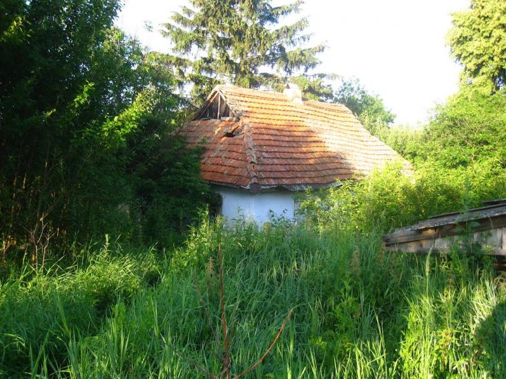 Грушківці з panoramio.com - Грушківці