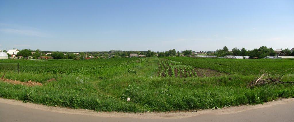 Циркуни з panoramio.com - Циркуны