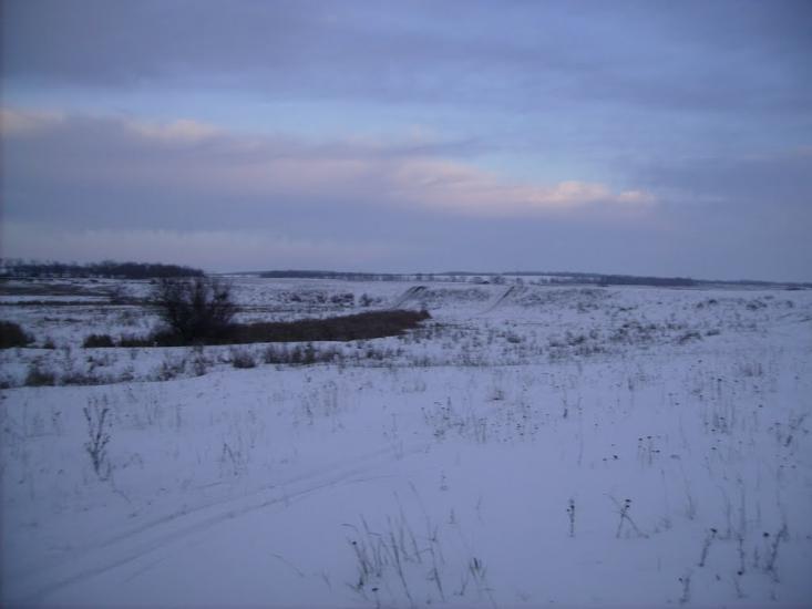 Данилівка з panoramio.com - Даниловка