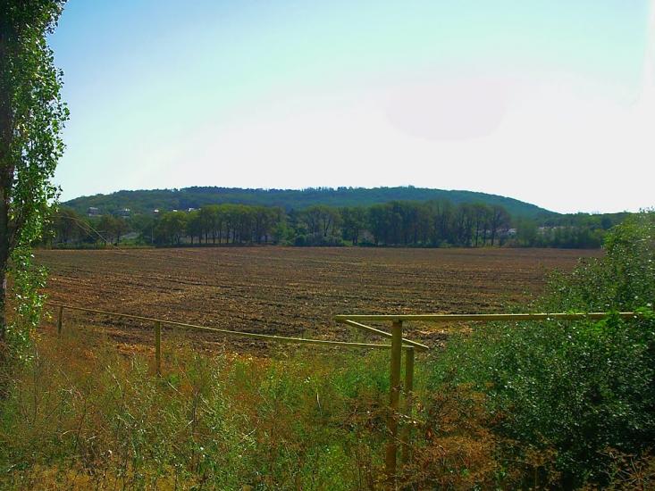 Каштанове з panoramio.com - Каштановое
