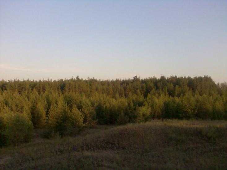 Щастя з panoramio.com - Счастье