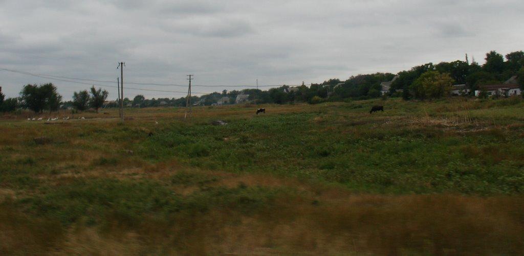 Казанка з panoramio.com - Казанка