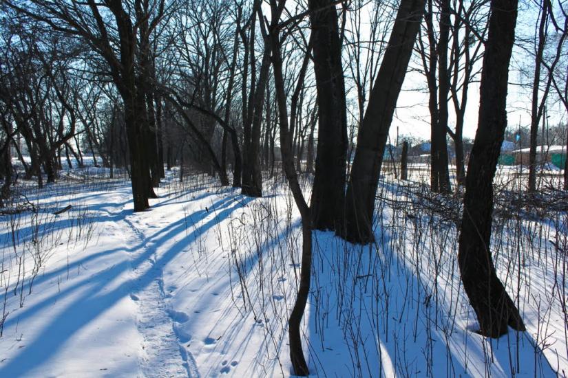 Комуніст з panoramio.com - Комуніст