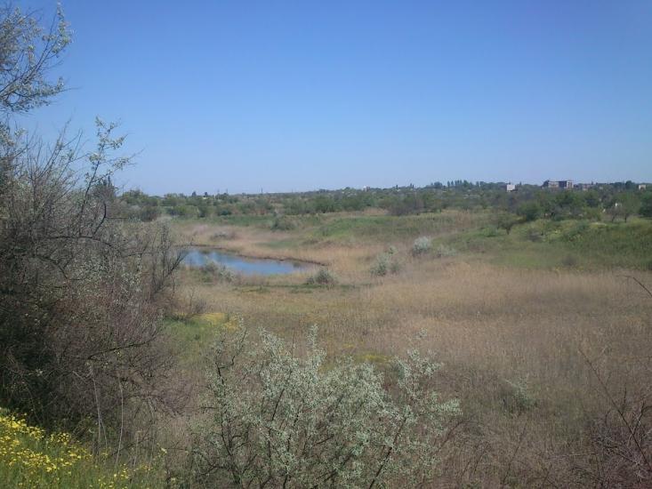 Орджонікідзе з panoramio.com - Орджоникидзе