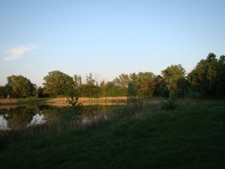 Жовтневе з panoramio.com - Жовтневое