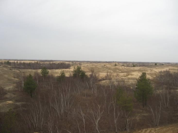 Пролетарка з panoramio.com - Пролетарка